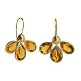 Euro Gold Earrings Petals