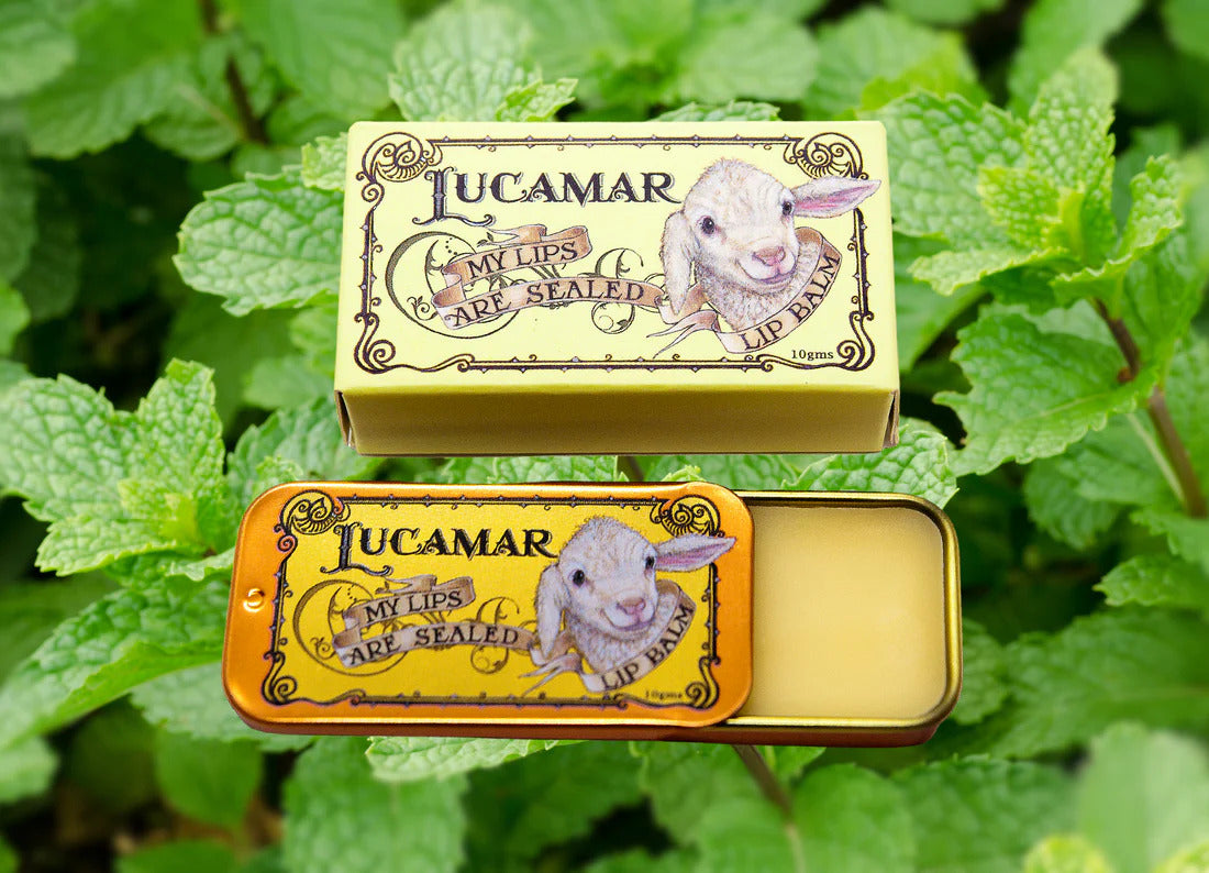 My Lips Are Sealed Lip Balm 10g