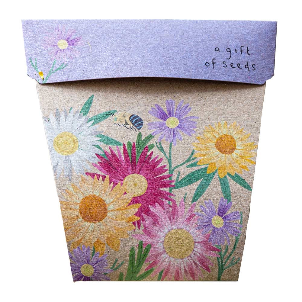 Sow n sow Gift Card  - Gift of Seeds Native Daisy - Gaudy & Prim