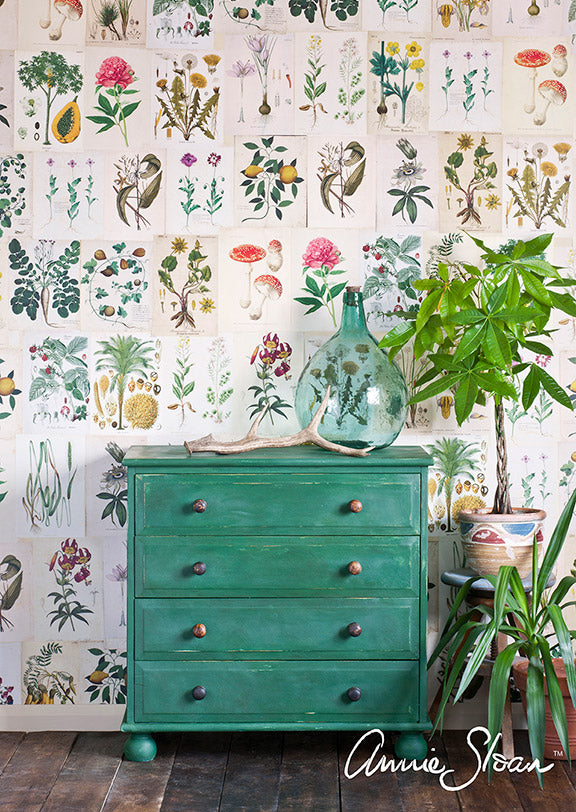 Annie Sloan Chalk Paint® - Amsterdam Green - Gaudy & Prim