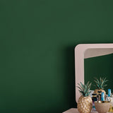 Annie Sloan Chalk Paint® - Amsterdam Green - Gaudy & Prim