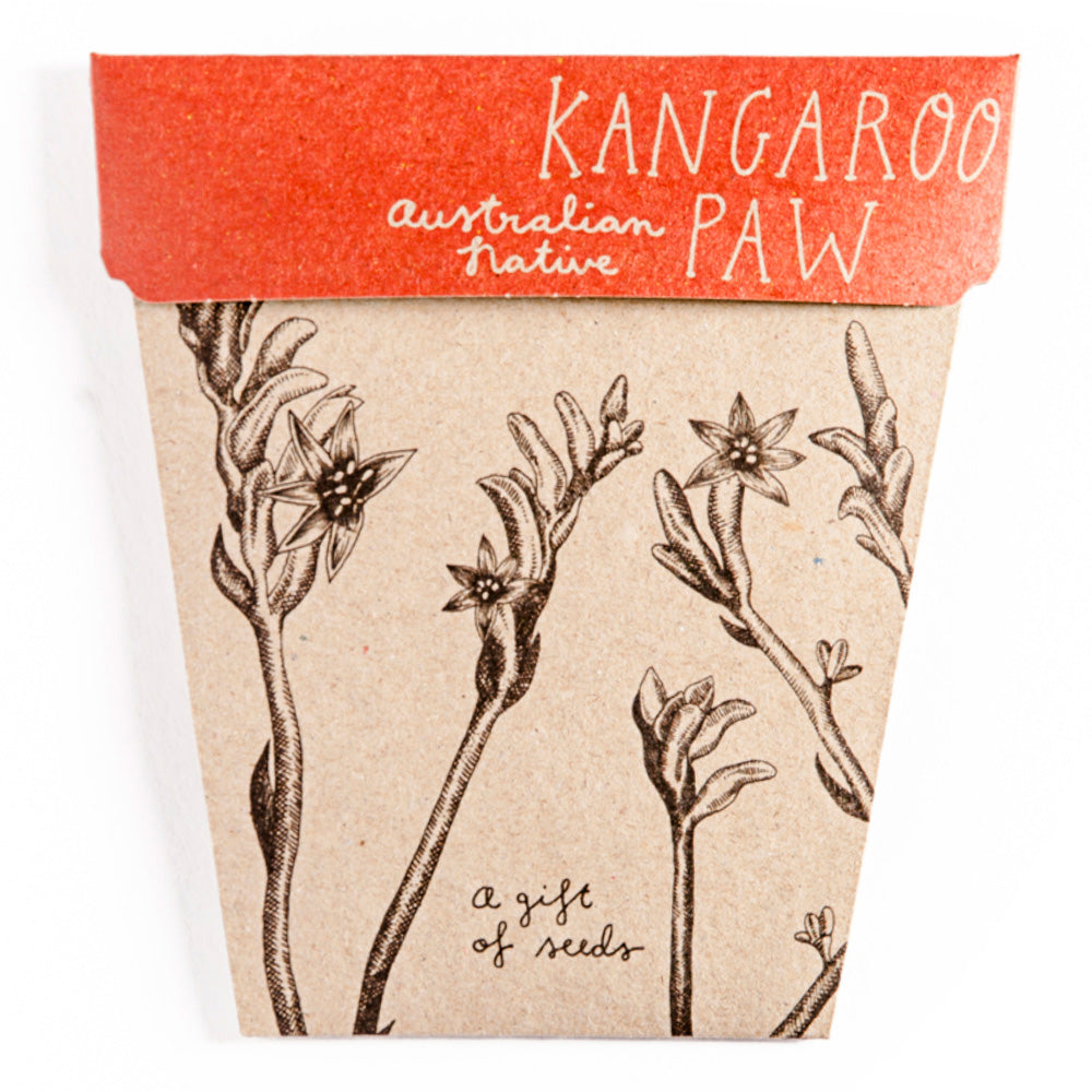 Sow n sow Gift Card - Kangaroo Paw - Gaudy & Prim