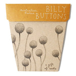 Sow n sow Gift Card - Billy Buttons Australian Native - Gaudy & Prim