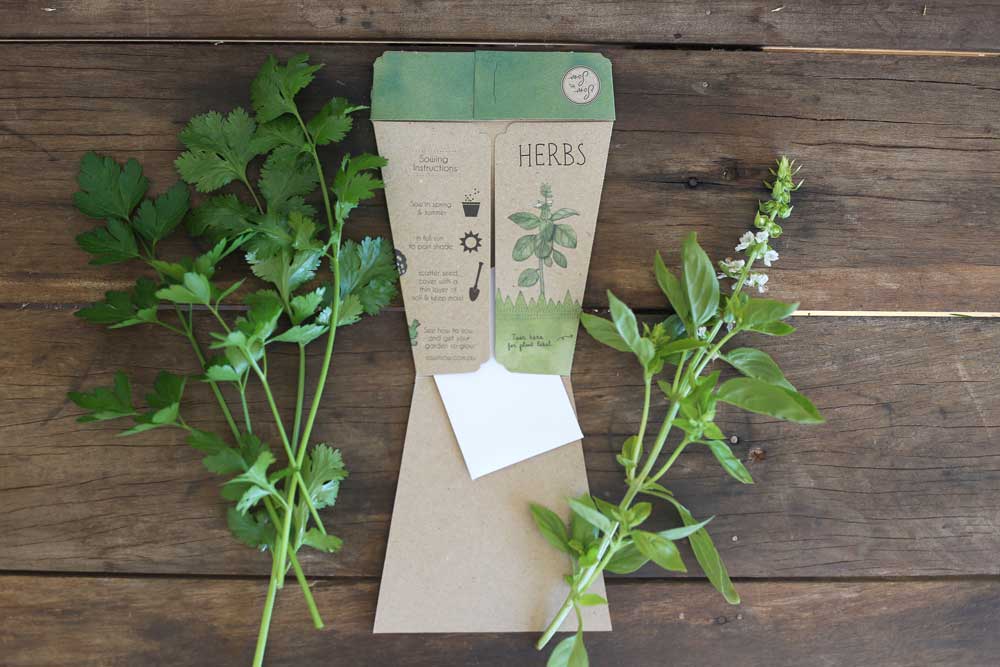 Sow n sow Gift Card - Trio of herbs - Gaudy & Prim