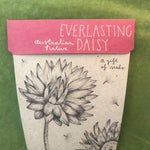 Sow n sow Gift Card Everlasting Daisy  Australian Native - Gaudy & Prim