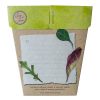 Sow n sow Gift Card - Leafy Greens - Gaudy & Prim