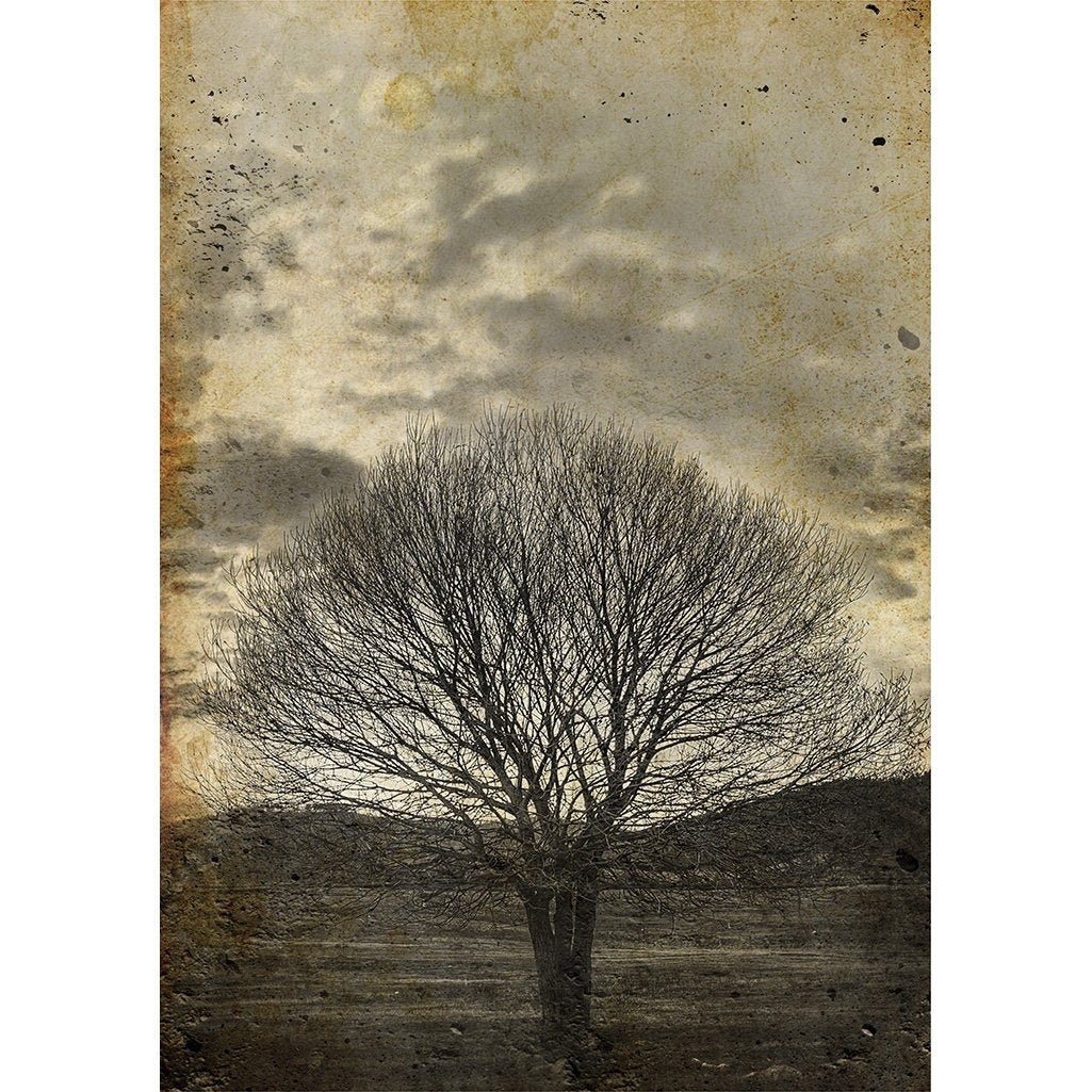 Sepia Tree Decoupage papers - Gaudy & Prim