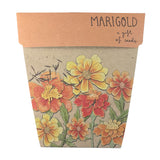 Sow n sow Gift Card - Thank you Marigold - Gaudy & Prim