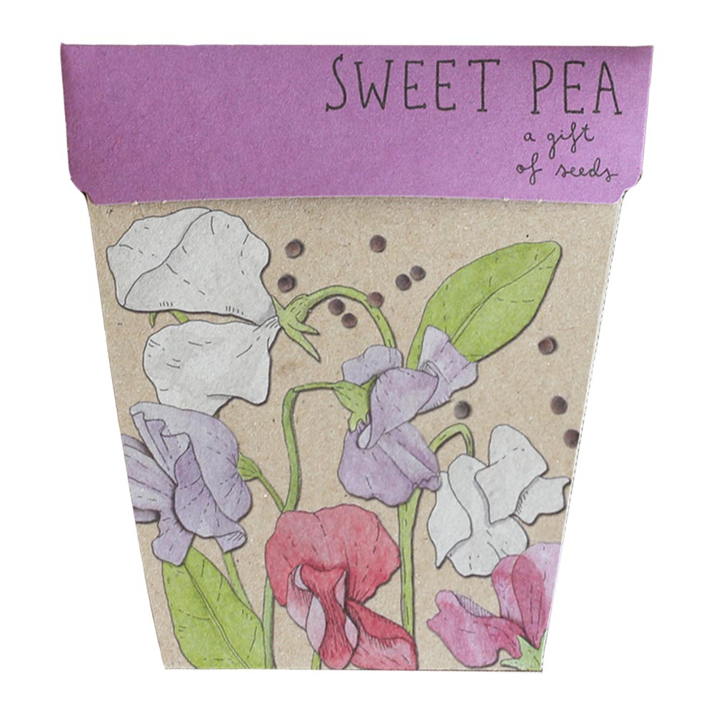 Sow n Sow Gift Card Sweet Pea - Gaudy & Prim