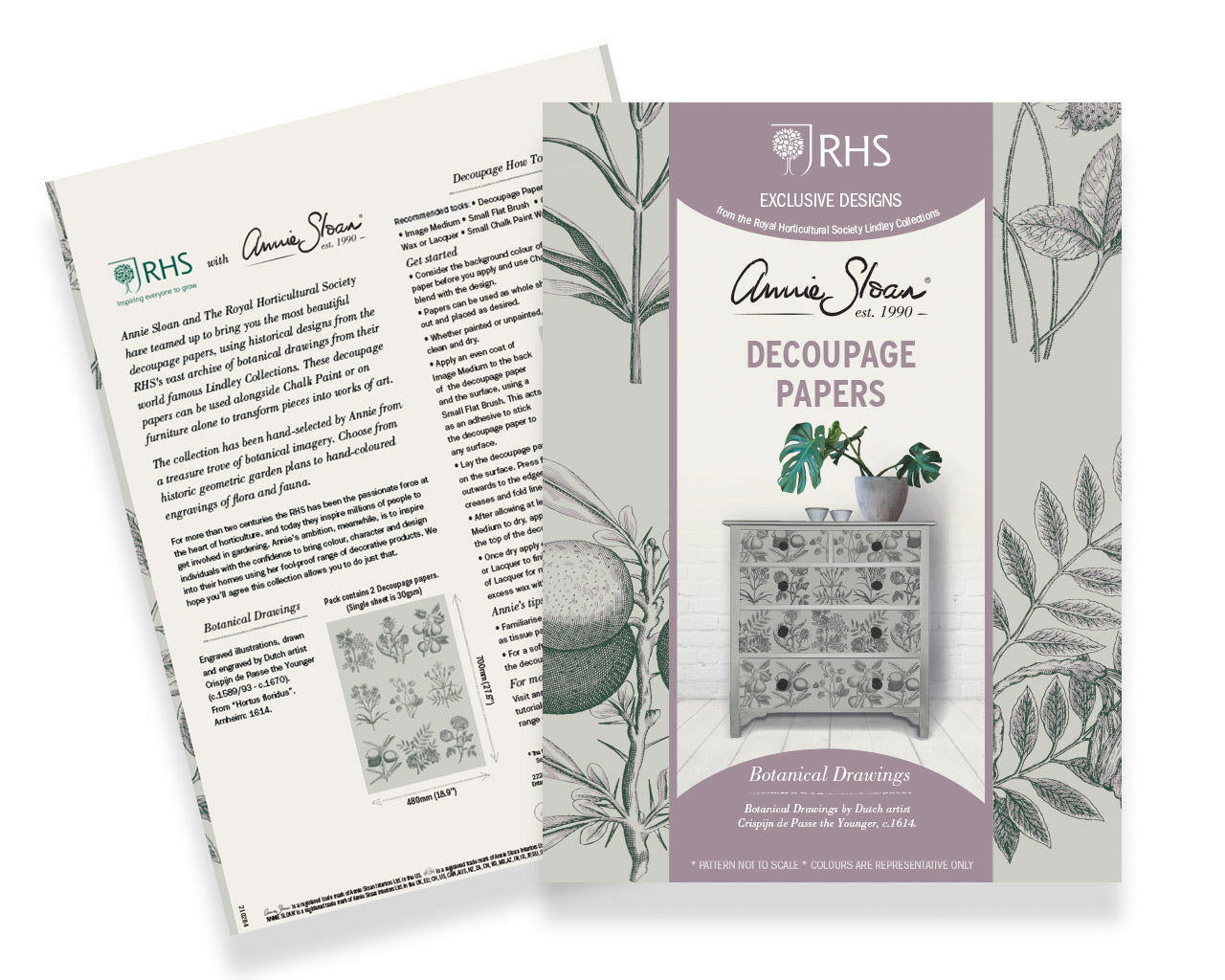 Annie Sloan RHS Decoupage Paper - Botanical Drawings - Gaudy & Prim