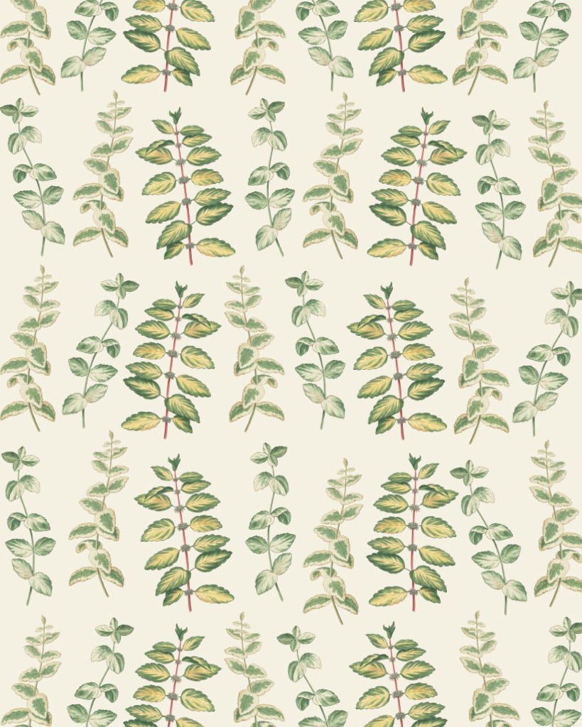Annie Sloan RHS Decoupage Paper - Mint - Gaudy & Prim