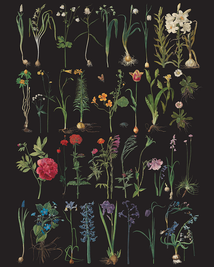Annie Sloan RHS Decoupage Paper - Formal Garden - Gaudy & Prim