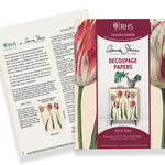 Annie Sloan RHS Decoupage Paper - Dutch Tulips - Gaudy & Prim